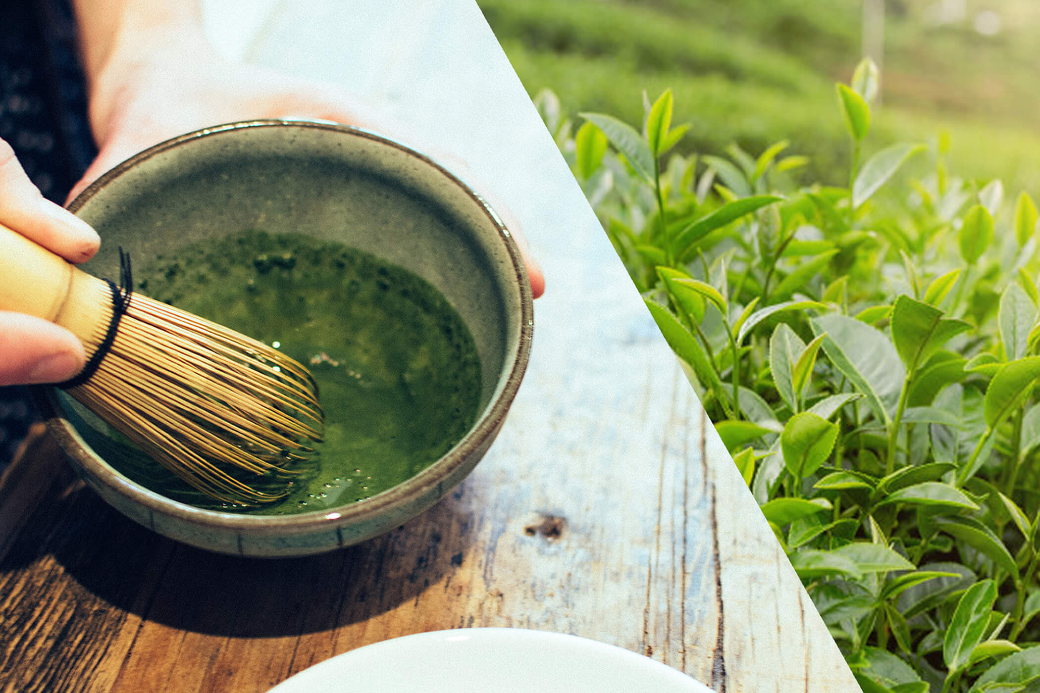5 benefits of a green tea face mask and how to make one